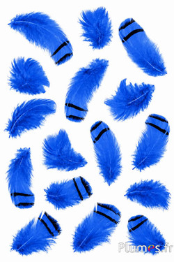 Patrijs - 3-7 cm - turkoois